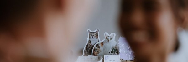 stockingmocha Profile Banner