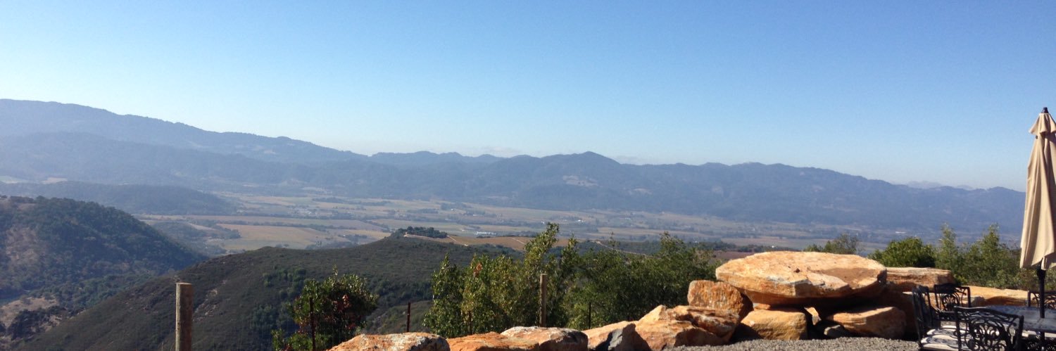 Sreenivasa Musani banner