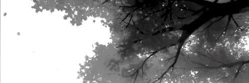 67xxs's profile banner image