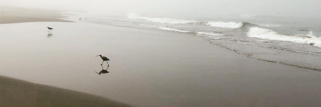 exdjryan's profile banner image