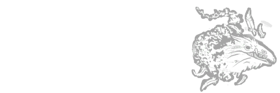 crowcanvs's profile banner image