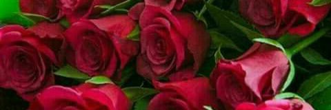 manasim's profile banner image