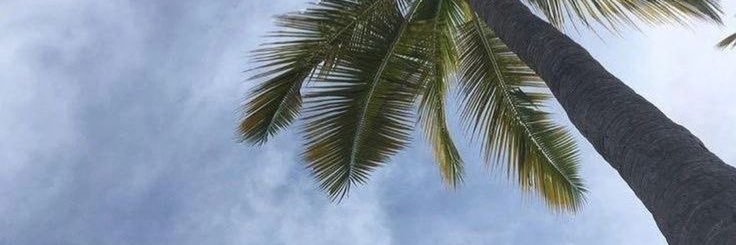 れあ banner