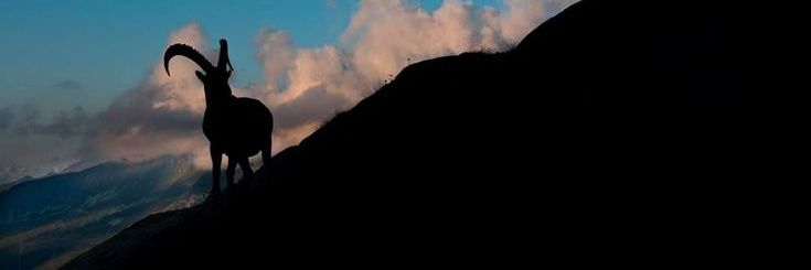 TCakc2482's profile banner image