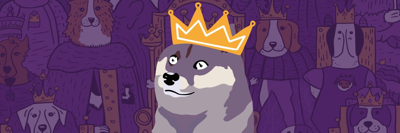 DOG banner