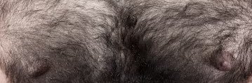 La Peluda banner