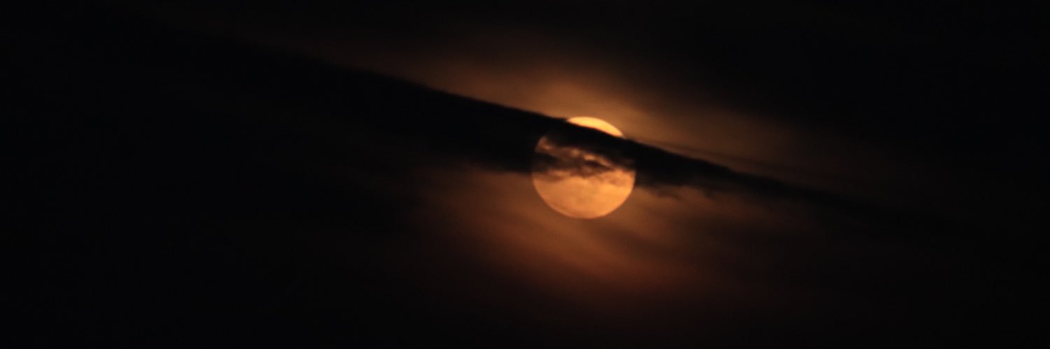 lorocha888's profile banner image