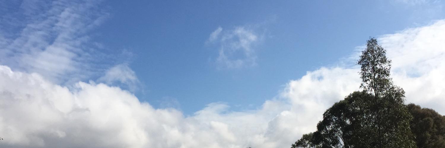 mrssinny's profile banner image