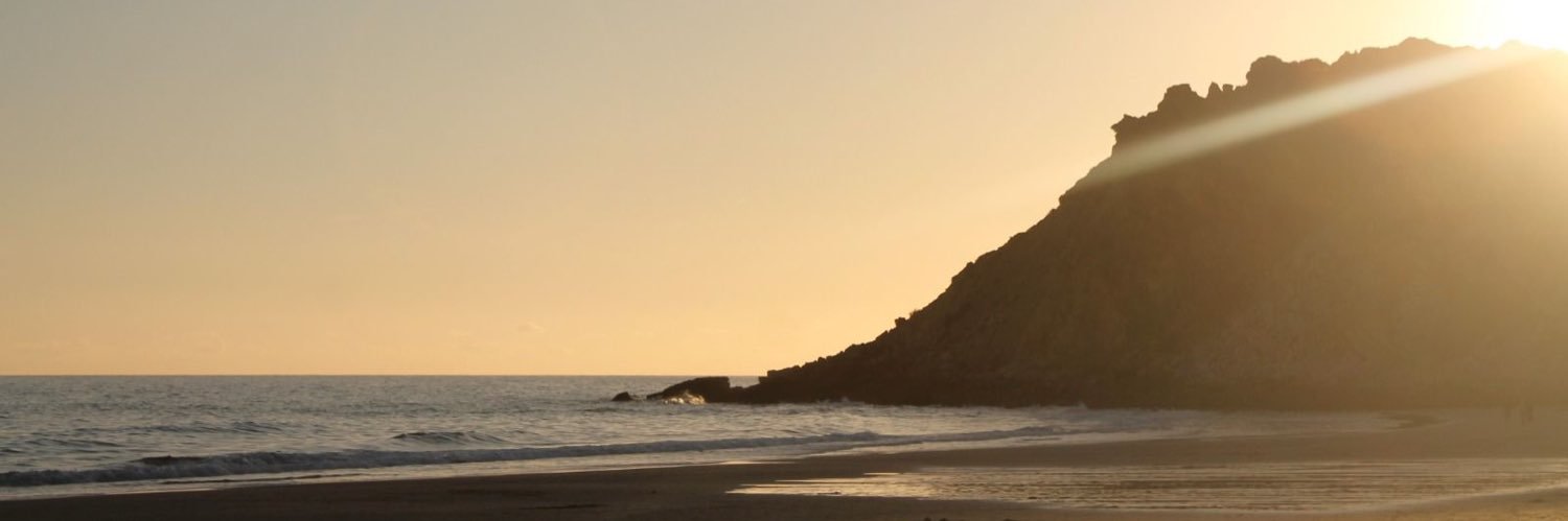 Lizzibau's profile banner image
