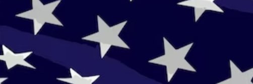 General Kurt von Hammerstein banner