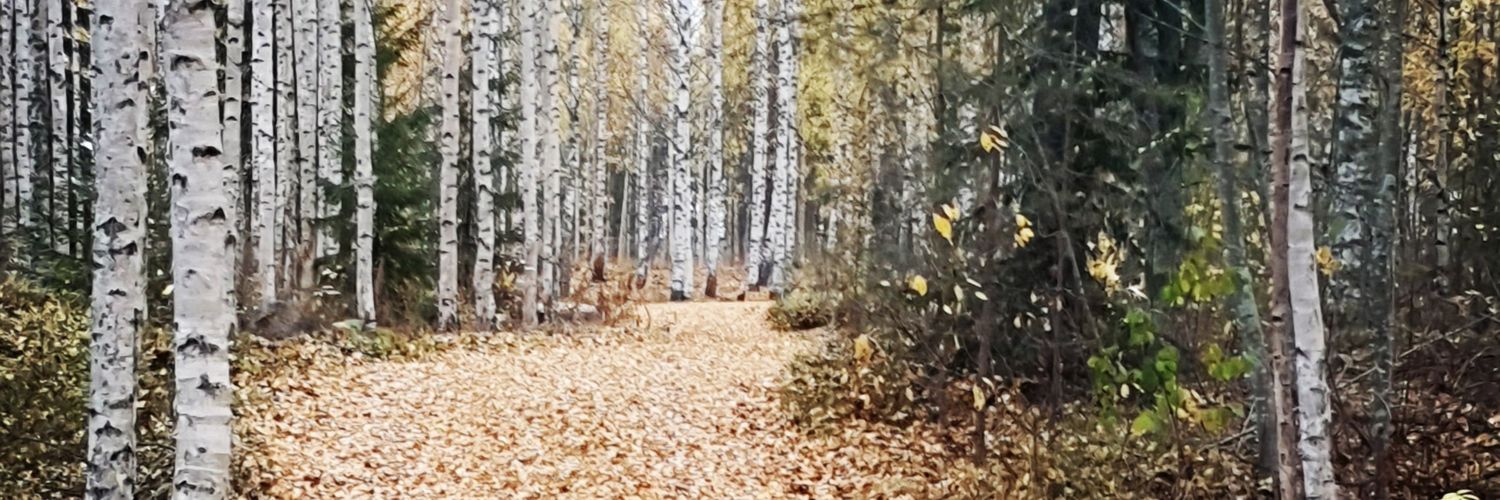 ThePyle77's profile banner image