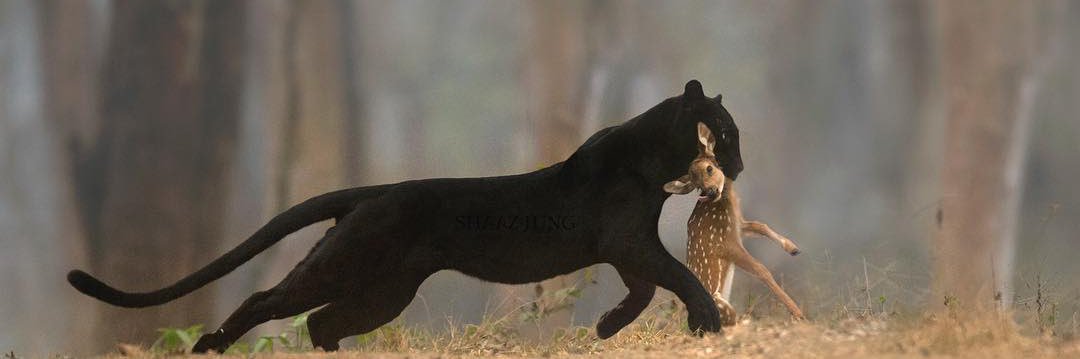 حلوٌ تعتريهِ مرَارَةْ banner