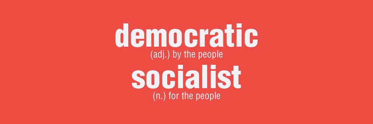 Socialist Voice banner