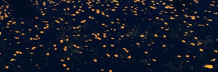 pilasango's profile banner image