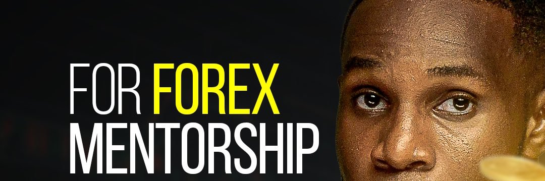 LionWisdomSnr's profile banner image