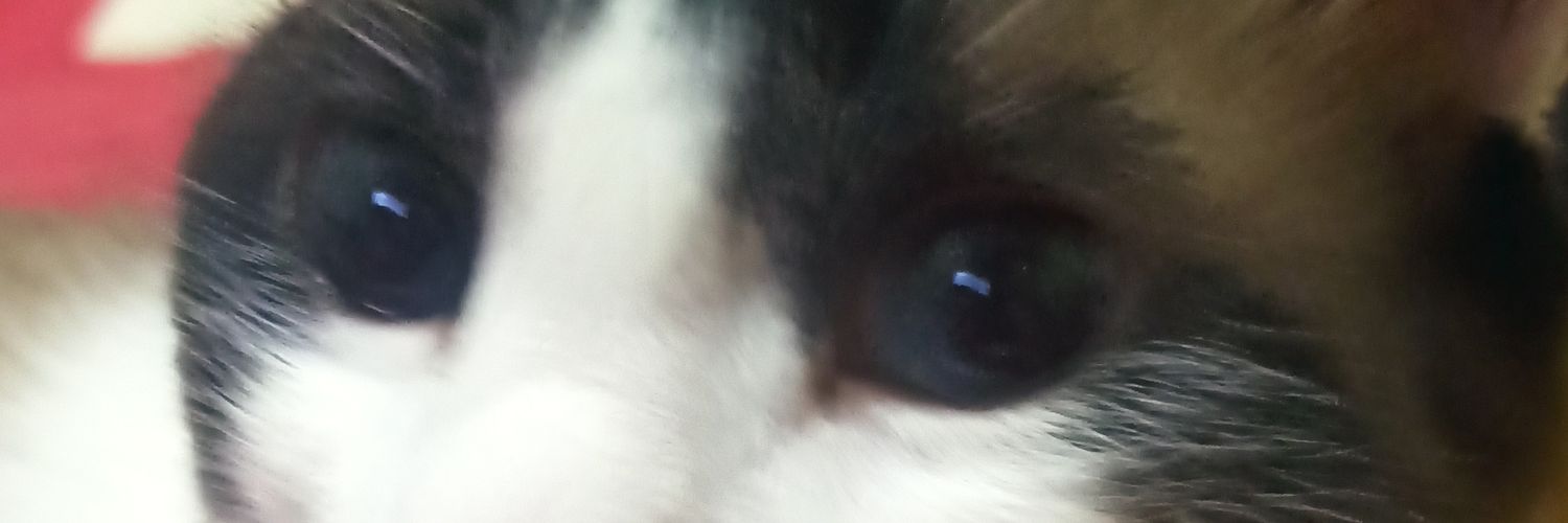 JameContrers's profile banner image