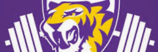 CDHS Barstool 🐯 banner