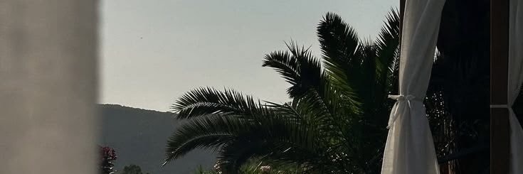 s banner