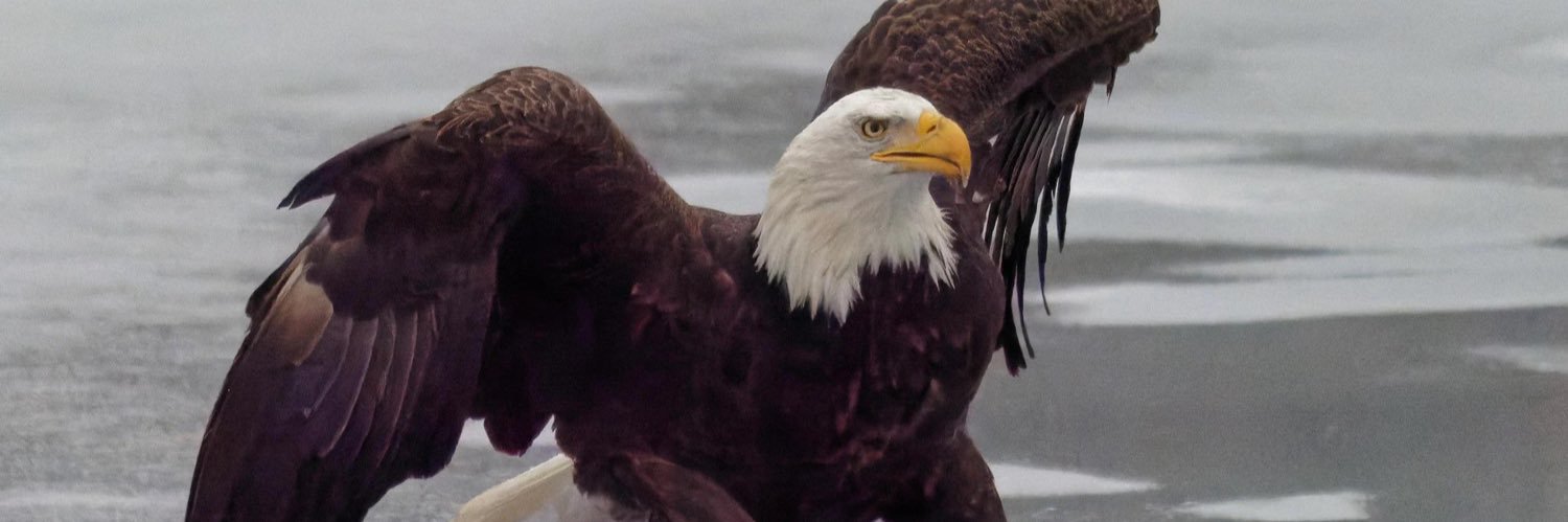 Unowned Reality banner