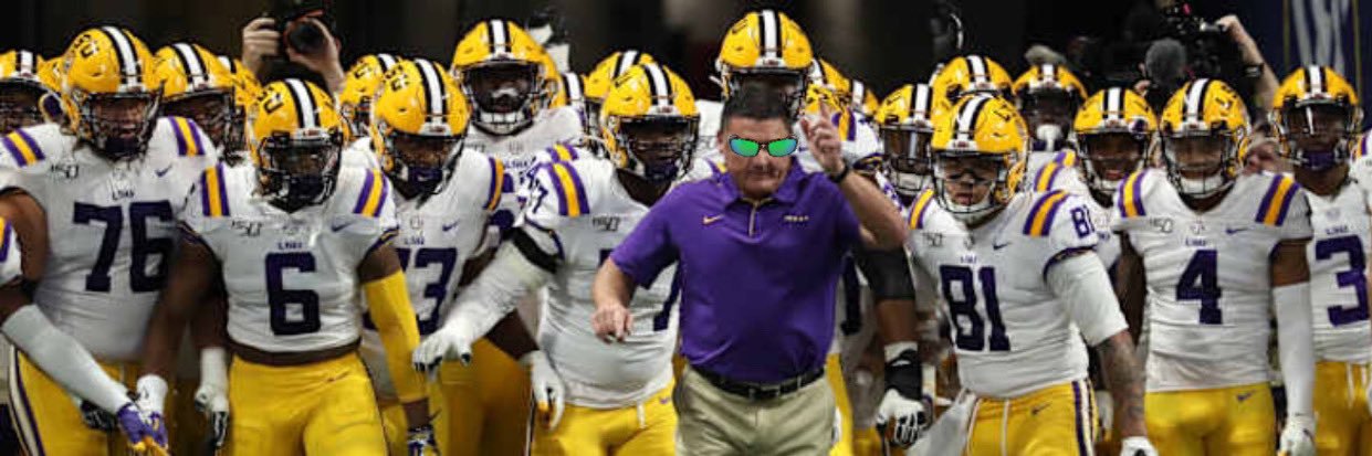 Tortoiseshell Costas banner