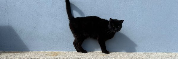 FelineAutomaton Profile Banner