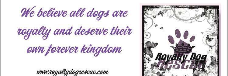 RoyaltyDog's profile banner image