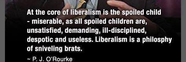 Dump The Dems banner