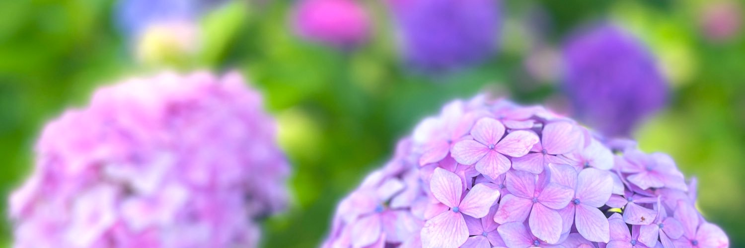 ayatsun's profile banner image