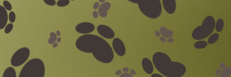 PawsStryker🐾 banner
