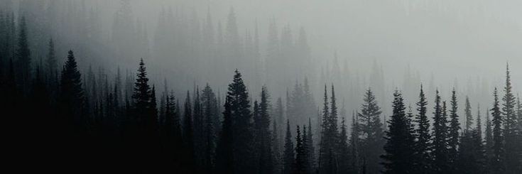 𝐆𝚊𝚛𝚛𝚒𝚌𝚔 banner