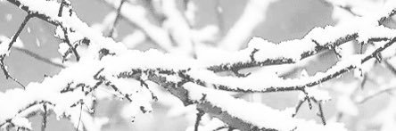 resultly's profile banner image