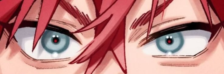 wren banner