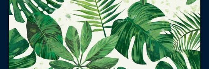 micatru's profile banner image