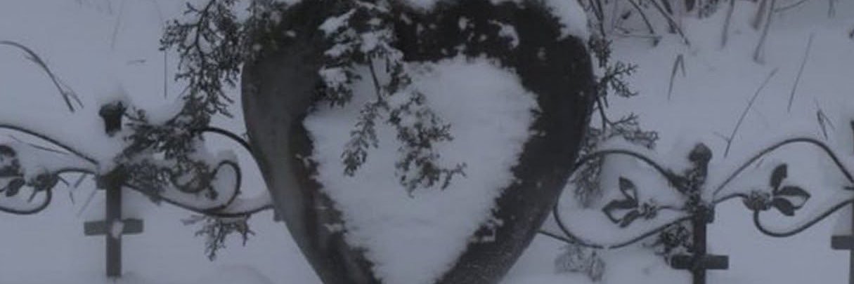 nesseth231's profile banner image