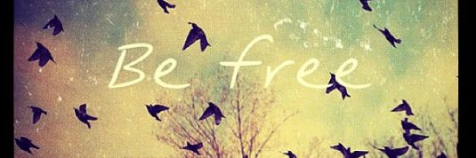 Firefrog1's profile banner image