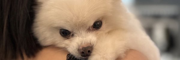 schmiyoung Profile Banner