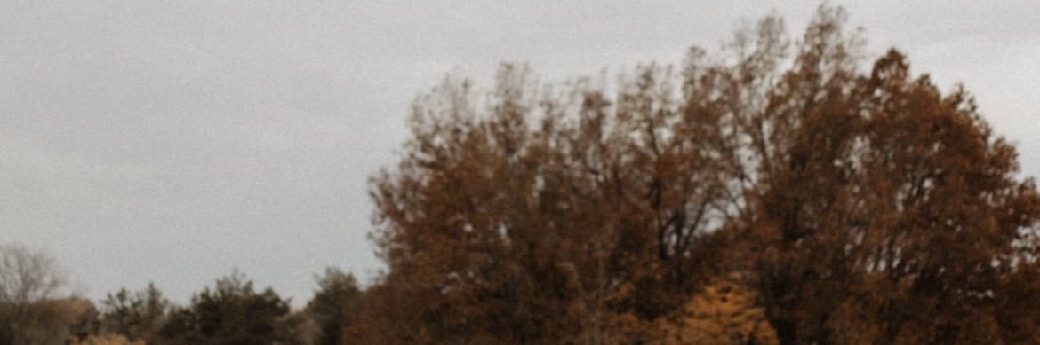 Meg_Nerch's profile banner image