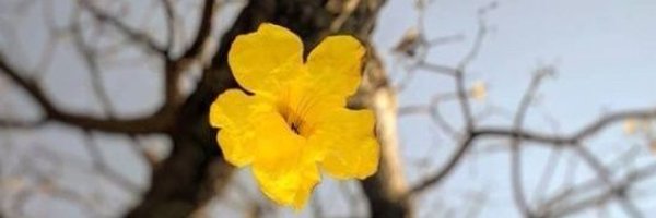 hichem65397 Profile Banner