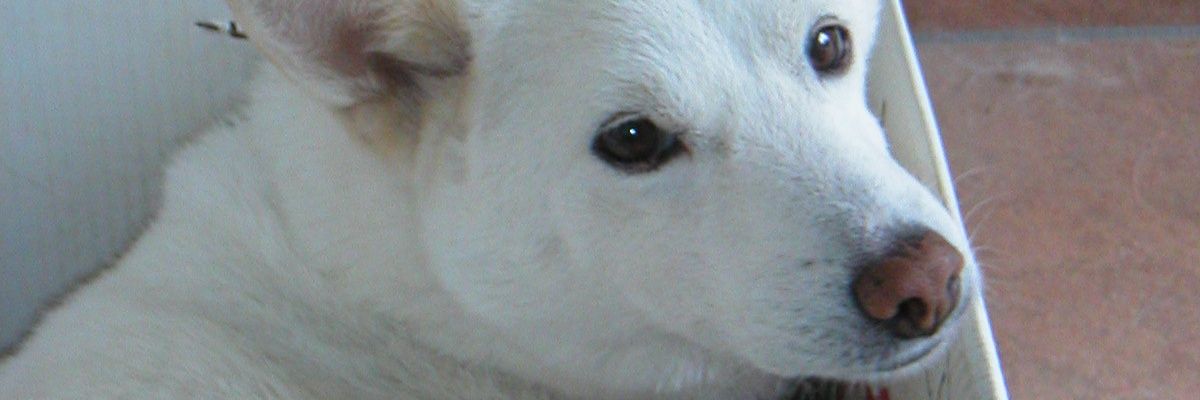 nkamet's profile banner image