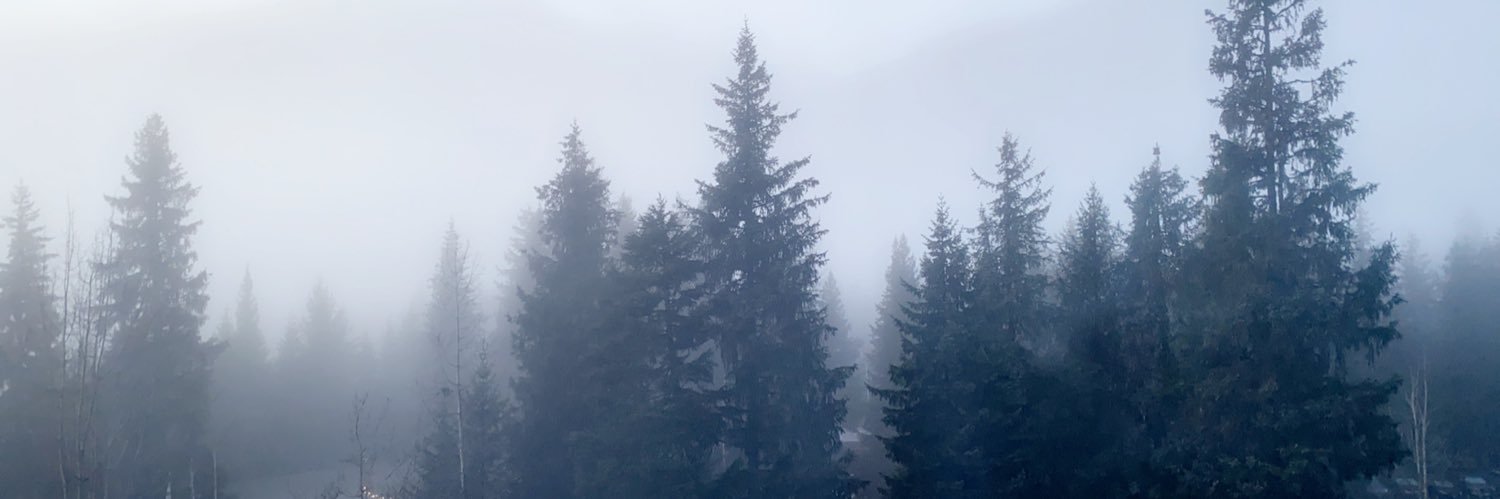 ligmuhballs's profile banner image