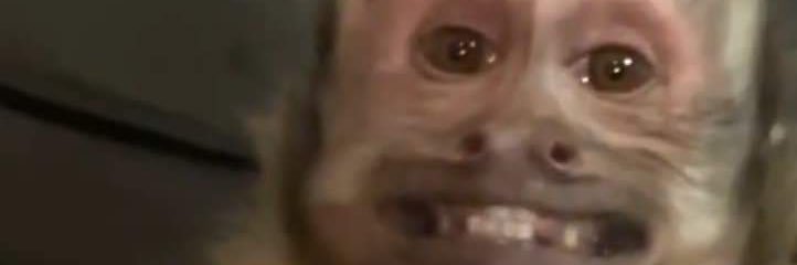 angyrdzv's profile banner image