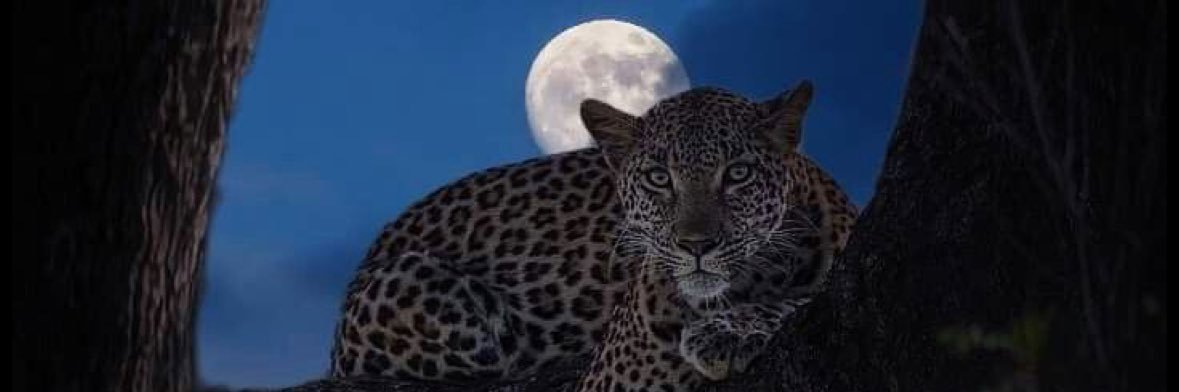 ‏𝐀𝐬𝐦𝐚 banner