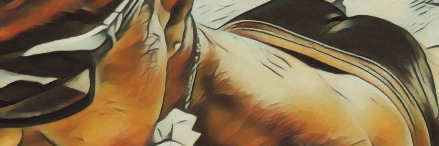 JC_Bert banner