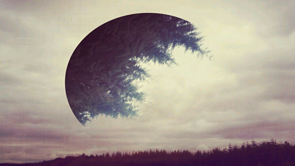 franalarconL's profile banner image