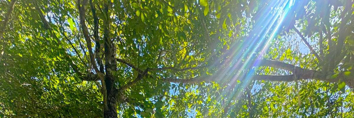 smjbn_'s profile banner image