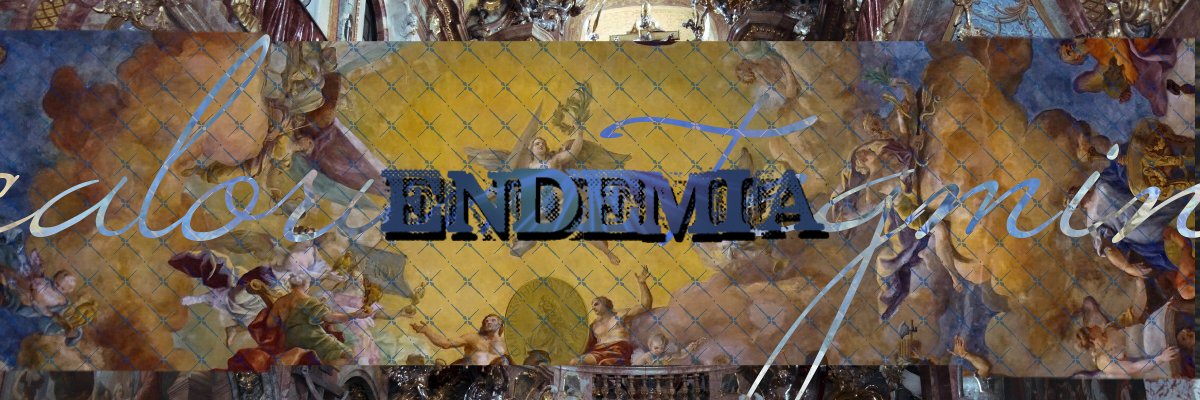ENDEMIA_'s profile banner image