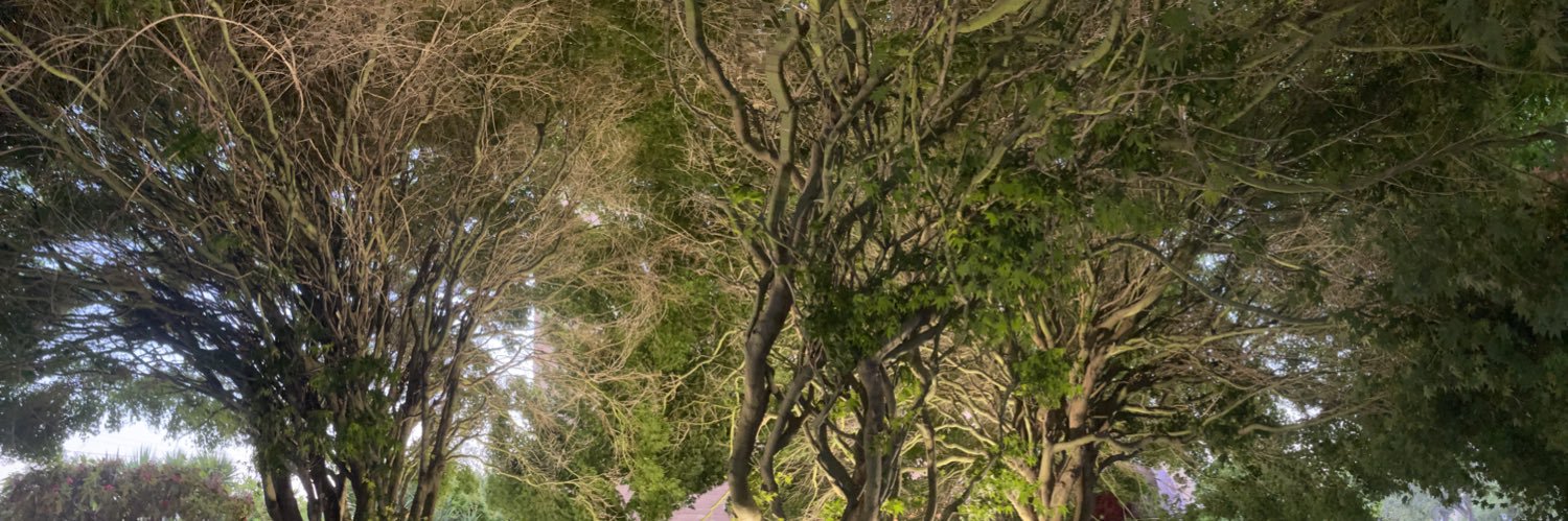 jimvanderhorst's profile banner image