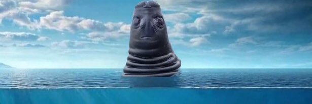 ランキング banner