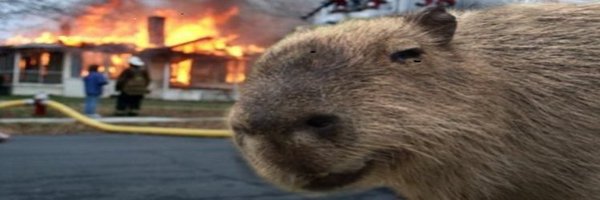 derekrld2 Profile Banner