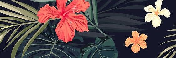 denhilero's profile banner image